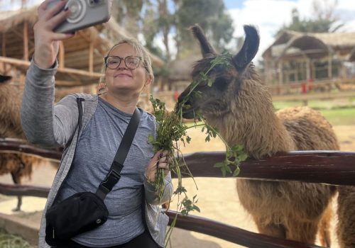 Selfie with llama